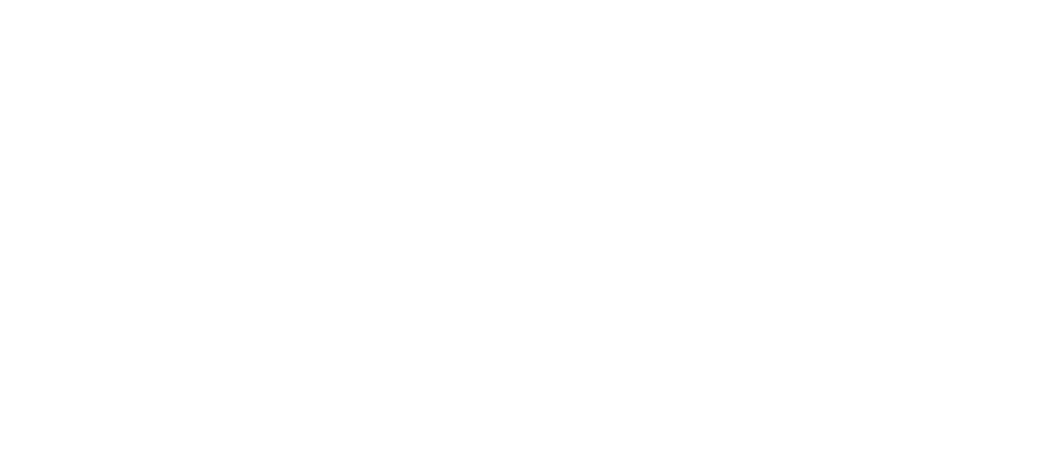 Dyne
